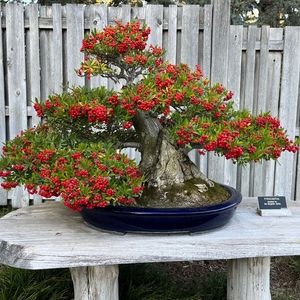 Meet your Posher, Joshua m.